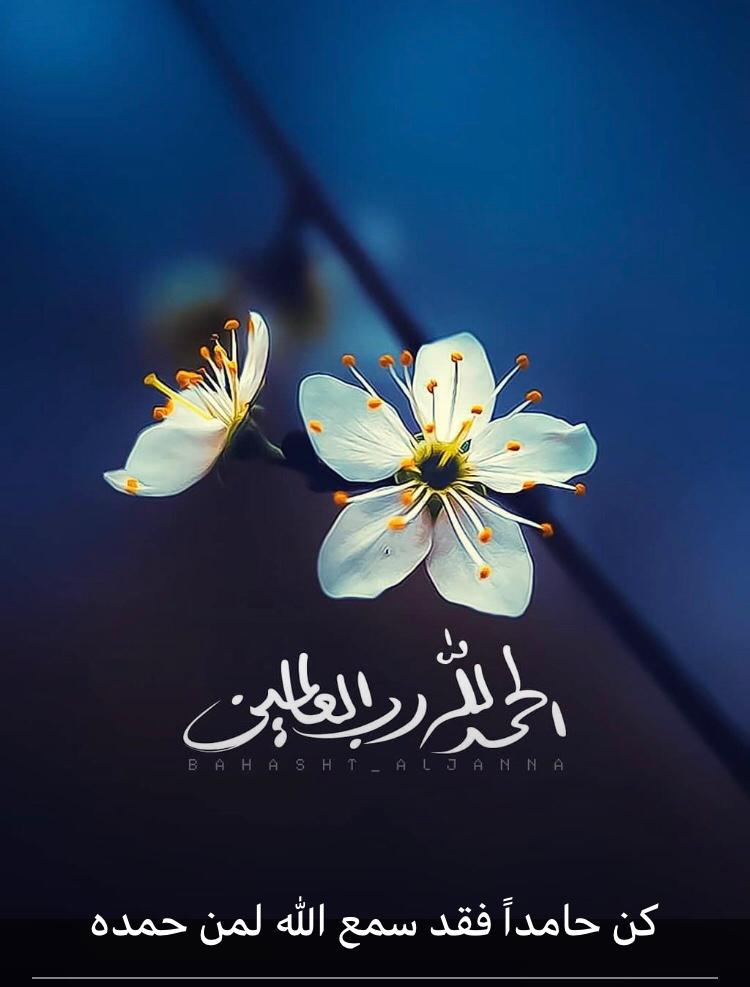 تحتوي هذه الصورة على سمة alt فارغة؛ اسم الملف هو الذكر.jpeg